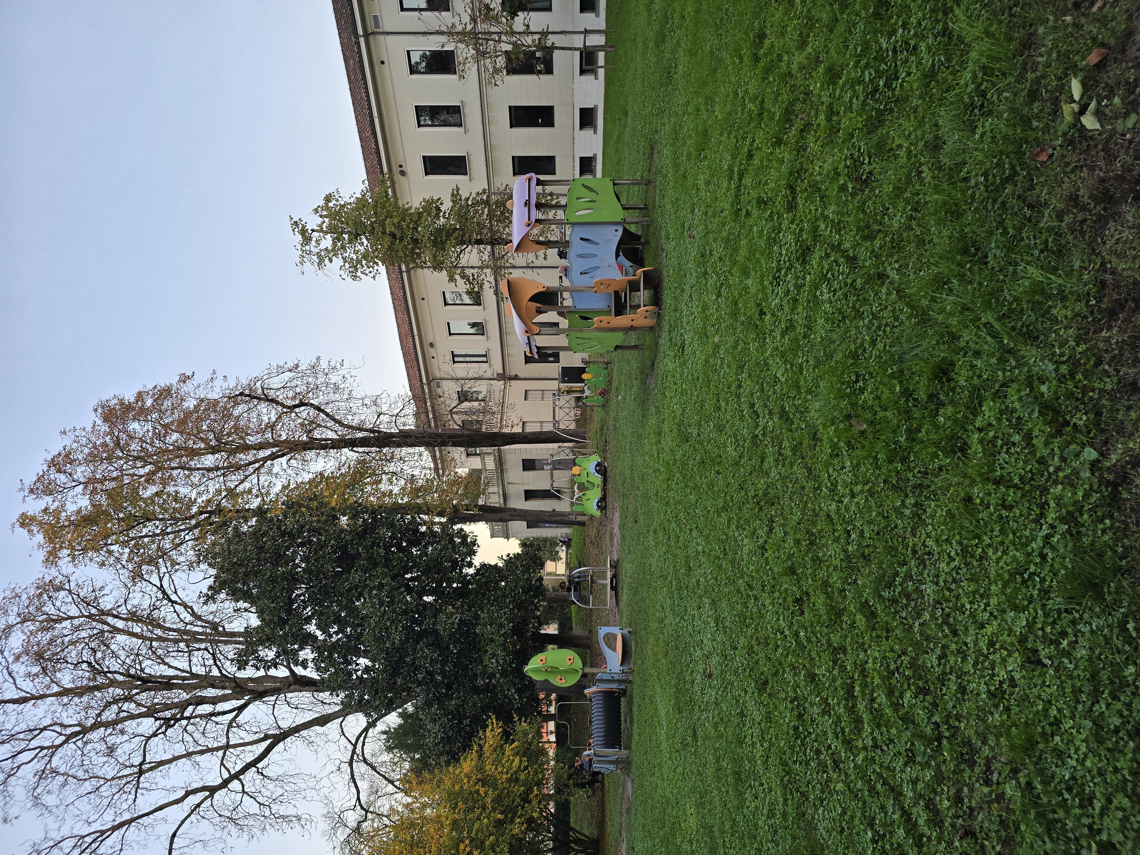 20241030_165601.jpg