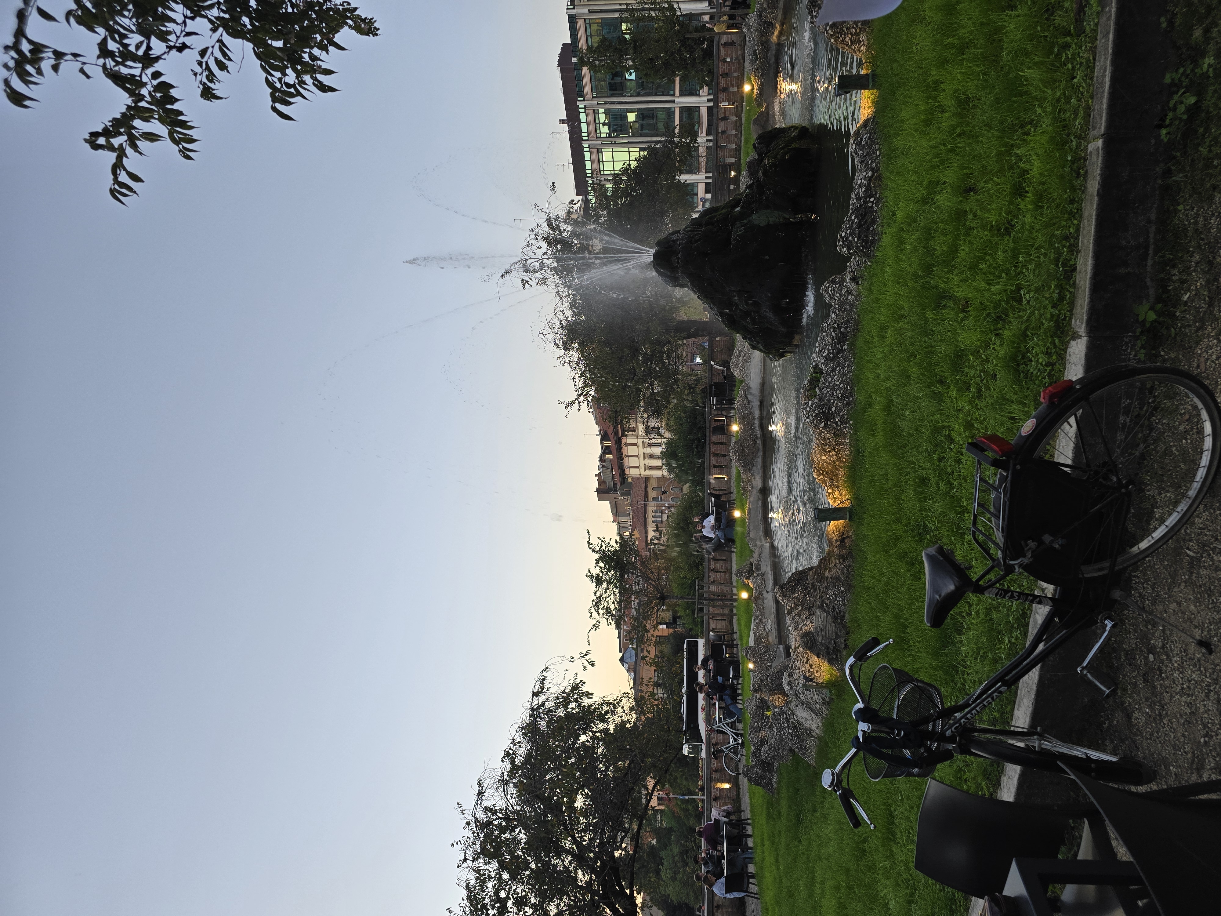 20241030_170429.jpg