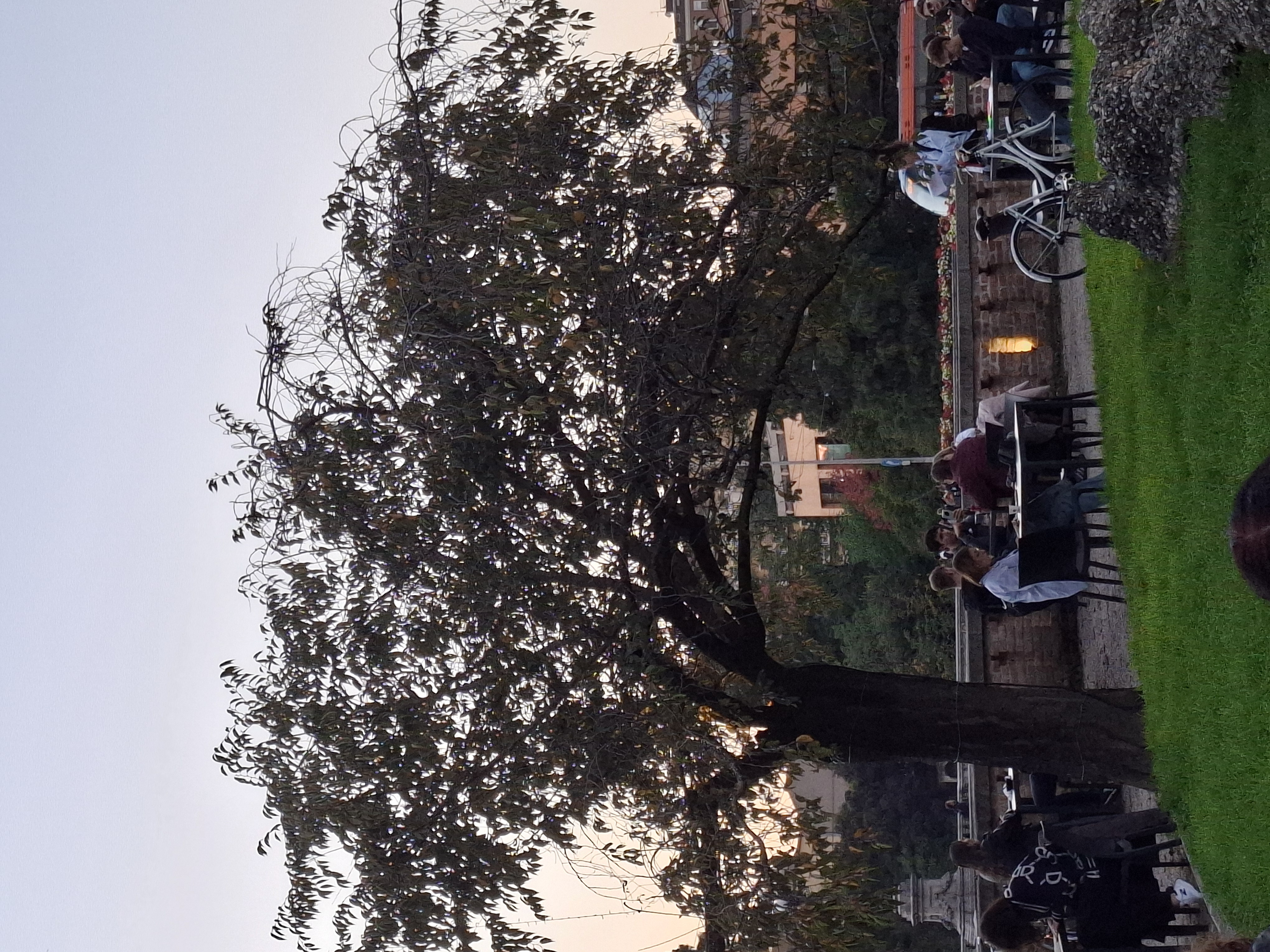 20241030_170448.jpg